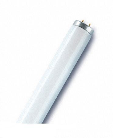 F.cső 30W/76  húspultba