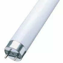 F.cső 65W T8