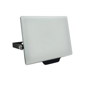 Led reflektor 30W IP65 LEDFL3000N LITE